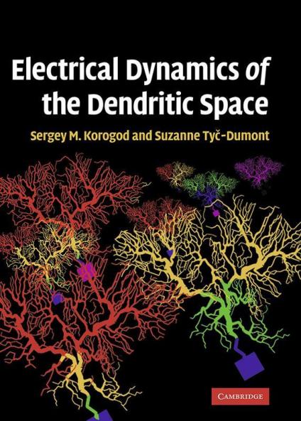 Electrical Dynamics of the Dendritic Space