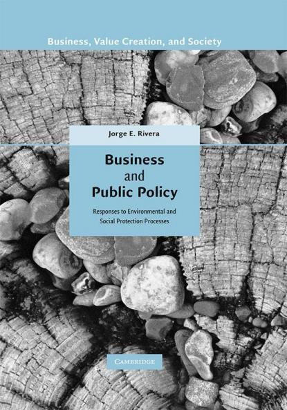 Business and Public Policy