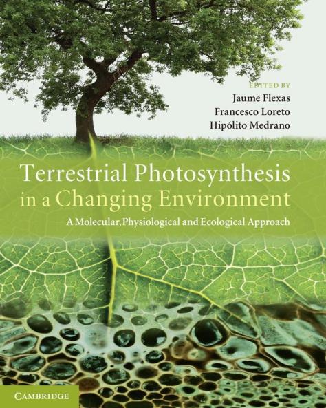 Terrestrial Photosynthesis in a Changing Environment