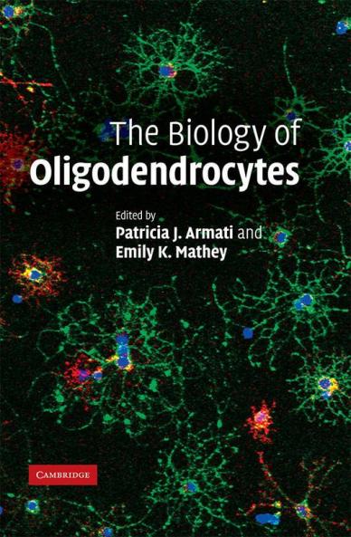 The Biology of Oligodendrocytes