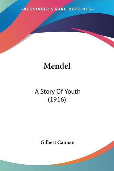 Mendel: A Story of Youth: A Story Of Youth (1916)