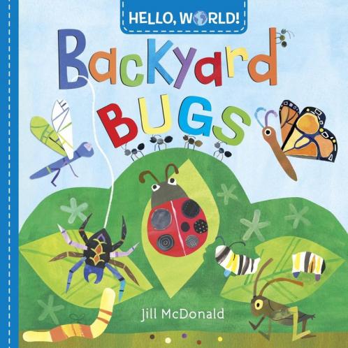 Hello World! Backyard Bugs