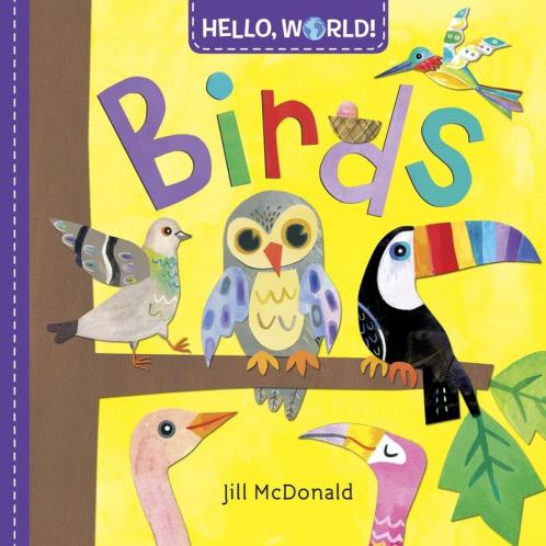 Hello World! Birds