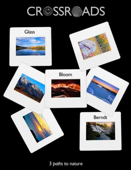 Crossroads - 3 paths to Nature