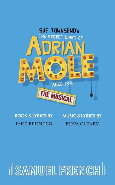 THE SECRET DIARY OF ADRIAN MOLE AGED 13