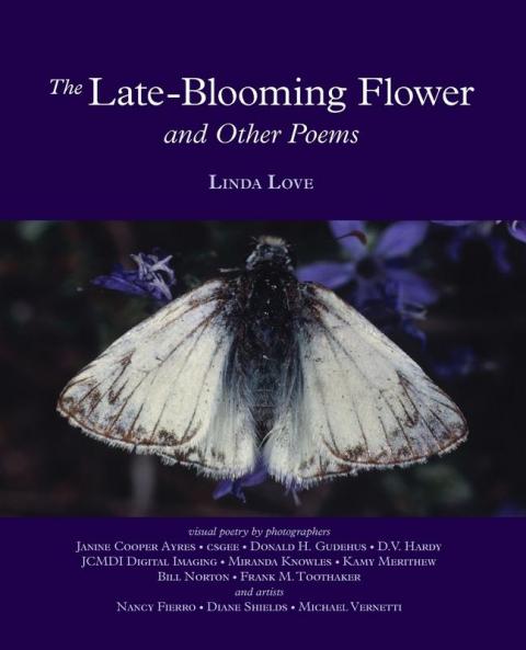 The Late-Blooming Flower and other poems