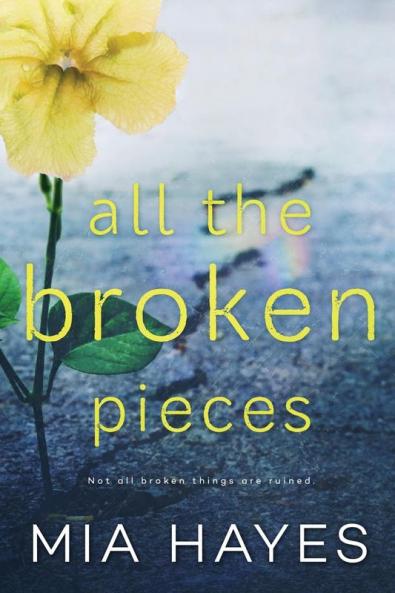 All The Broken Pieces: 2 (Waterford Novel)