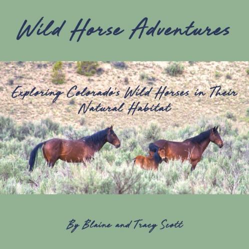 Wild Horse Adventures