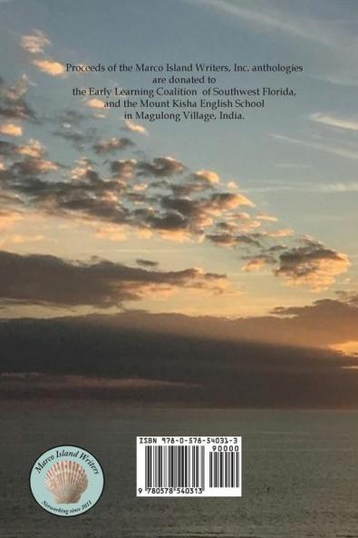 Marco Island Writers' Poetry Short Stories and Essays: Vol V