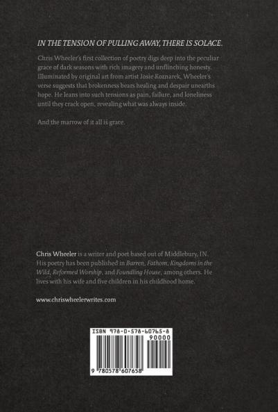 Solace: poems for the broken season