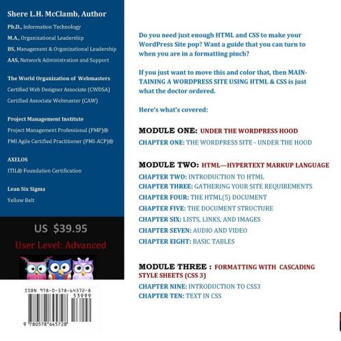 MAINTAINING A WordPress Site Using HTML & CSS: The Advance Guide: A Guide for Formatting and Styling a WordPress Site: 3 (Building Websites)