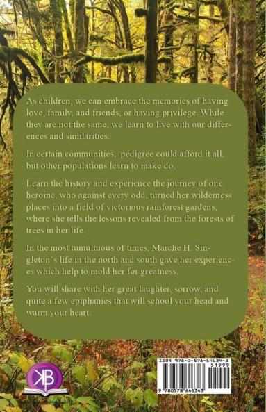 Wilderness Places: The Underbrush of Life's Journey