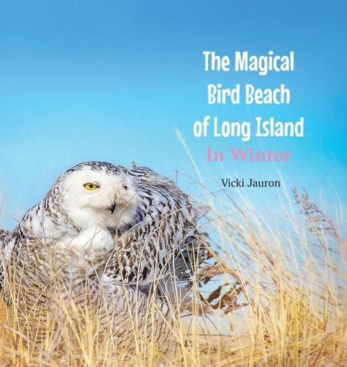 The Magical Bird Beach of Long Island in Winter: A Children's Rhyming Picture Book About the Snowy Owl and Other Winter Birds: 2