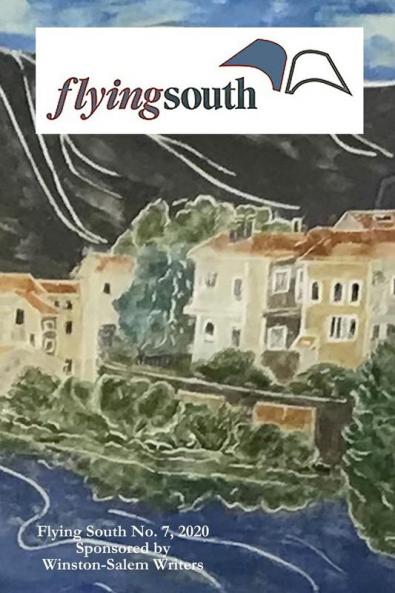 Flying South 2020
