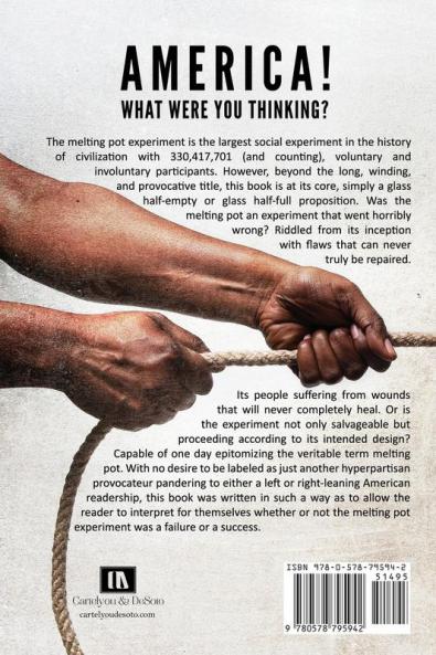 America! What Were You Thinking?