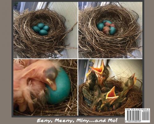 Eeny Meeny Miny... and Mo!