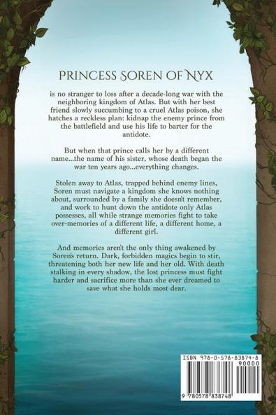 The Saltwater Heir
