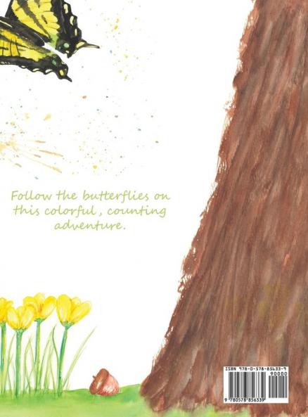 Butterfly Butterfly