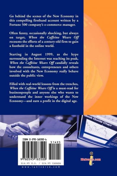 When the Caffeine Wears Off: de-Hyping the New Economy