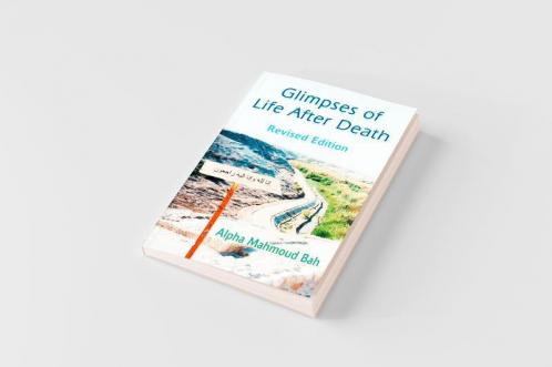 Glimpses of Life After Death