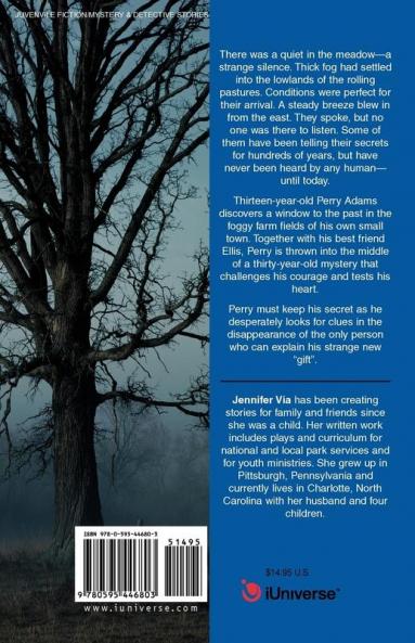 The Foggy Meadow Discovery