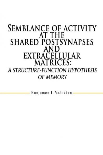 Semblance of activity at the shared postsynapses and extracellular matrices