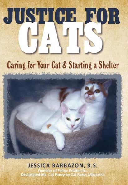 Justice For Cats