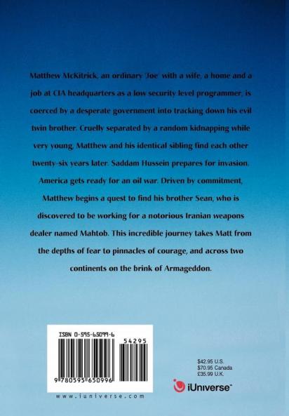 Where Do Flies Go In Winter?: A Gulf War Spy Novel