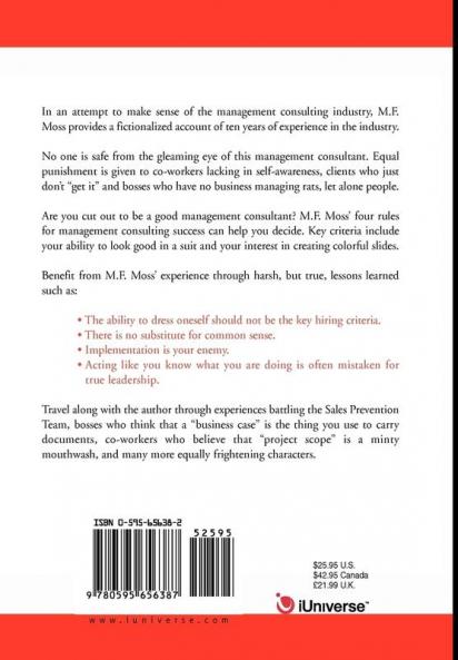 The Not-So-Definitive Guide to Management Consulting