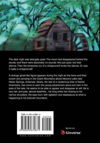 The Foster Twins In The Mystery At Moore's Lake