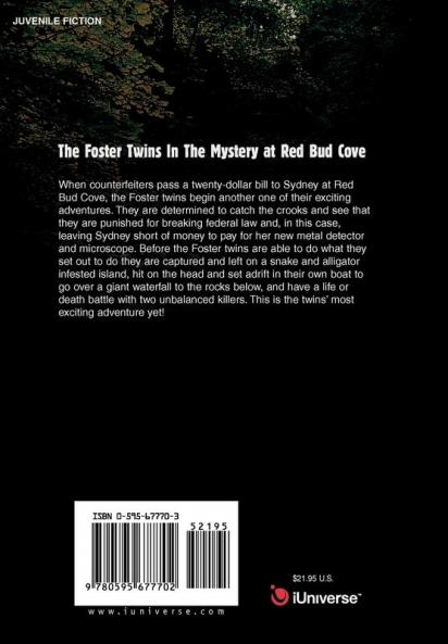 The Foster Twins In The Mystery at Red Bud Cove