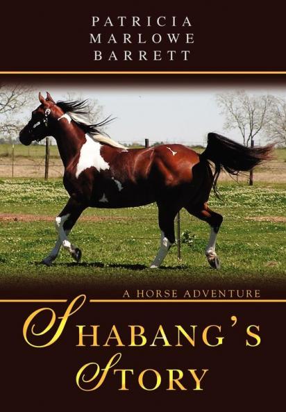 Shabang's Story