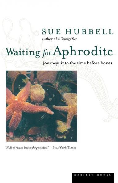 Waiting for Aphrodite