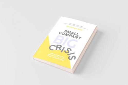 Small Company Big Crisis
