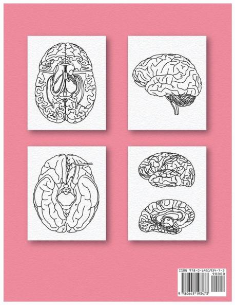 Neuroanatomy Human Brain Coloring Book