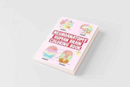 Neuroanatomy Human Brain Coloring Book