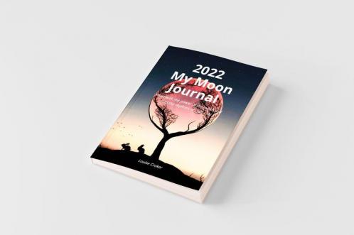 My Lunar Journal 2022