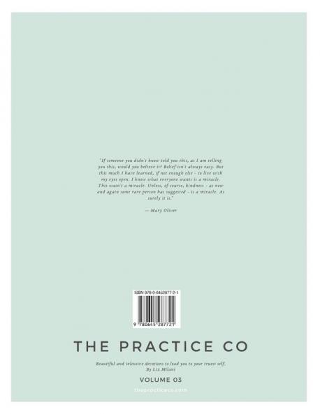 The Practice Co - Volume Three