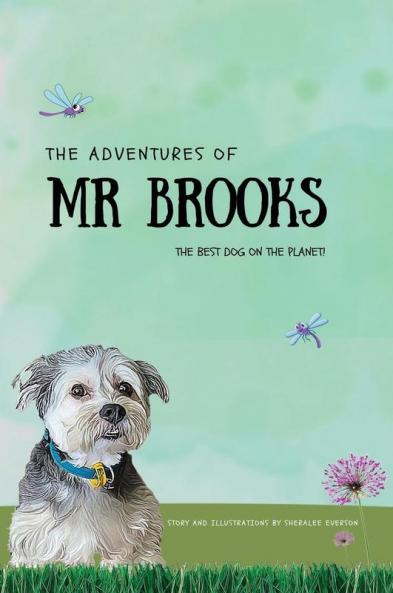 The Adventures of Mr Brooks