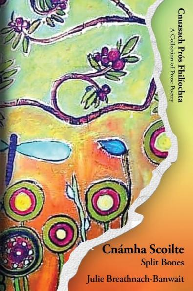 Cnámha Scoilte/Split Bones (Irish Edition)