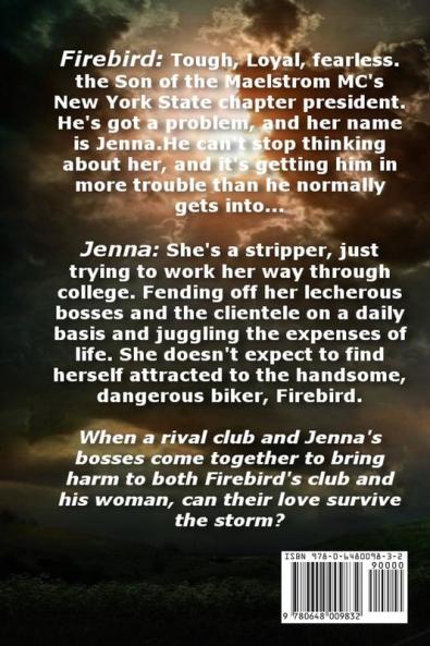 Firestorm: Maelstrom MC Book One: 1