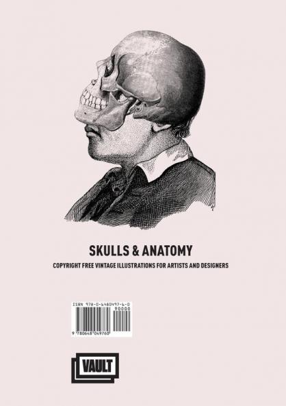 Skulls & Anatomy