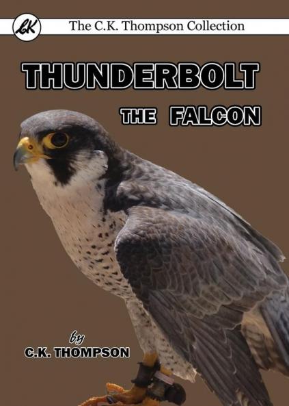 Thunderbolt the Falcon