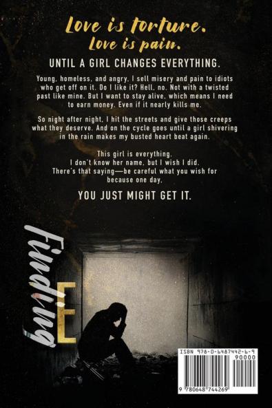 Finding E