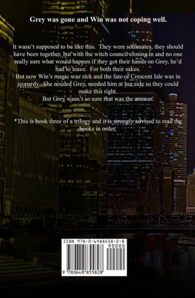 Witch on the Run: Forbidden Magic Trilogy Book Three: 3 (Crescent Isle Witches)
