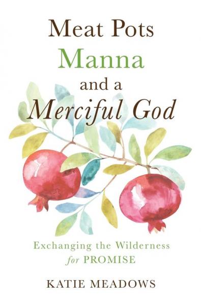 Meat Pots Manna and a Merciful God