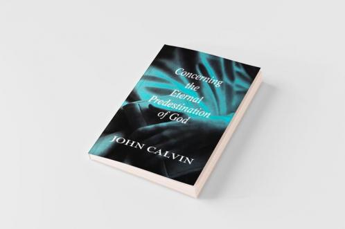 Concerning the Eternal Predestination of God