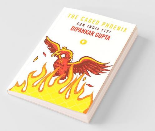 Caged Phoenix : Can India Fly ?