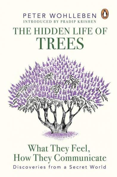 The Hidden Life of Trees What They Feel How They Communicate