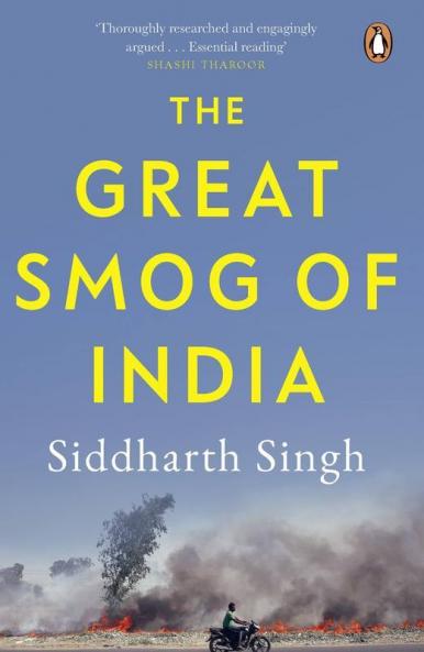 The Great Smog of India